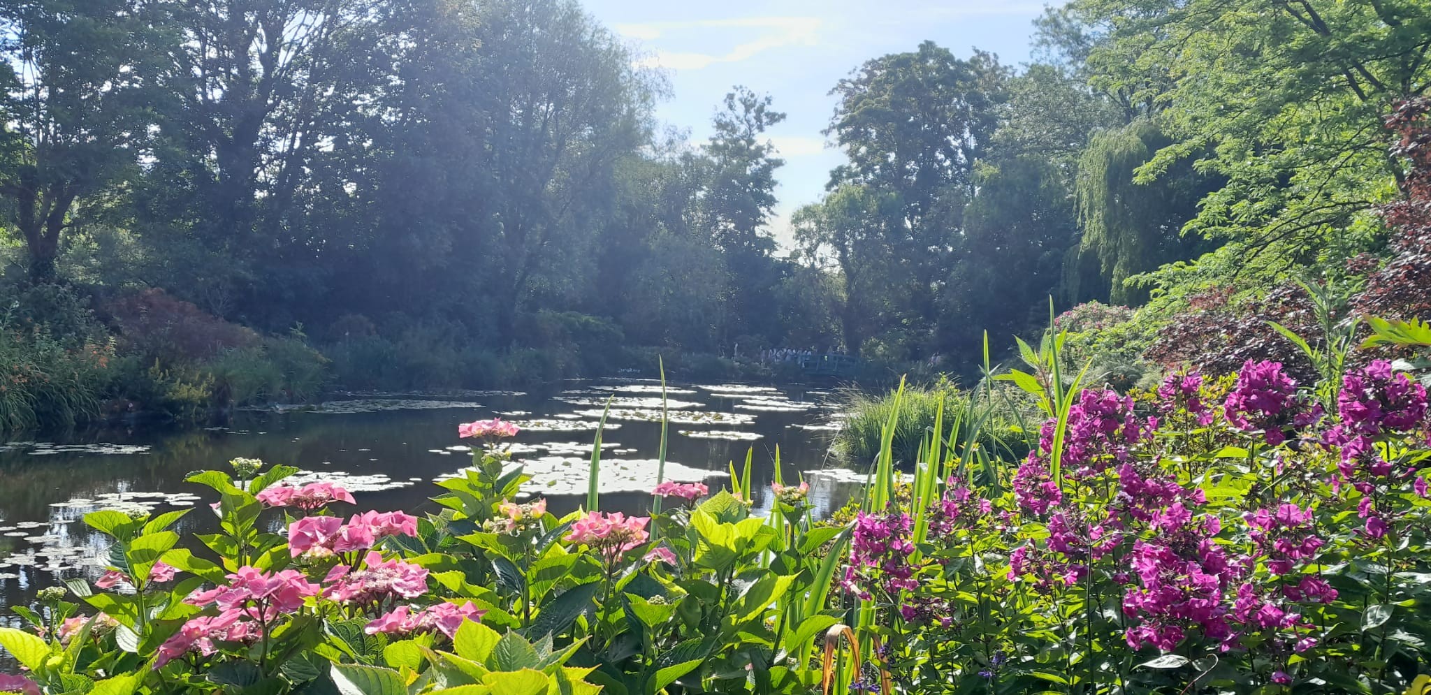 270 giverny jardin claude monet