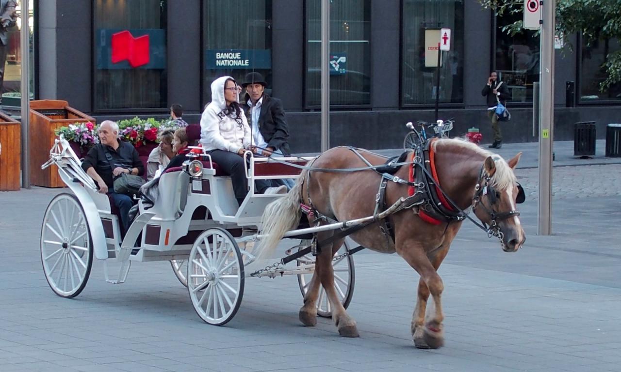 A Montréal 18