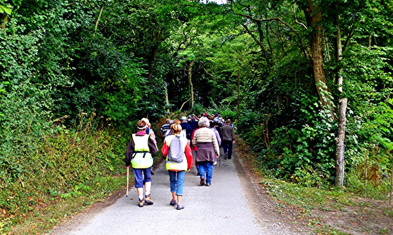 dans les chemins