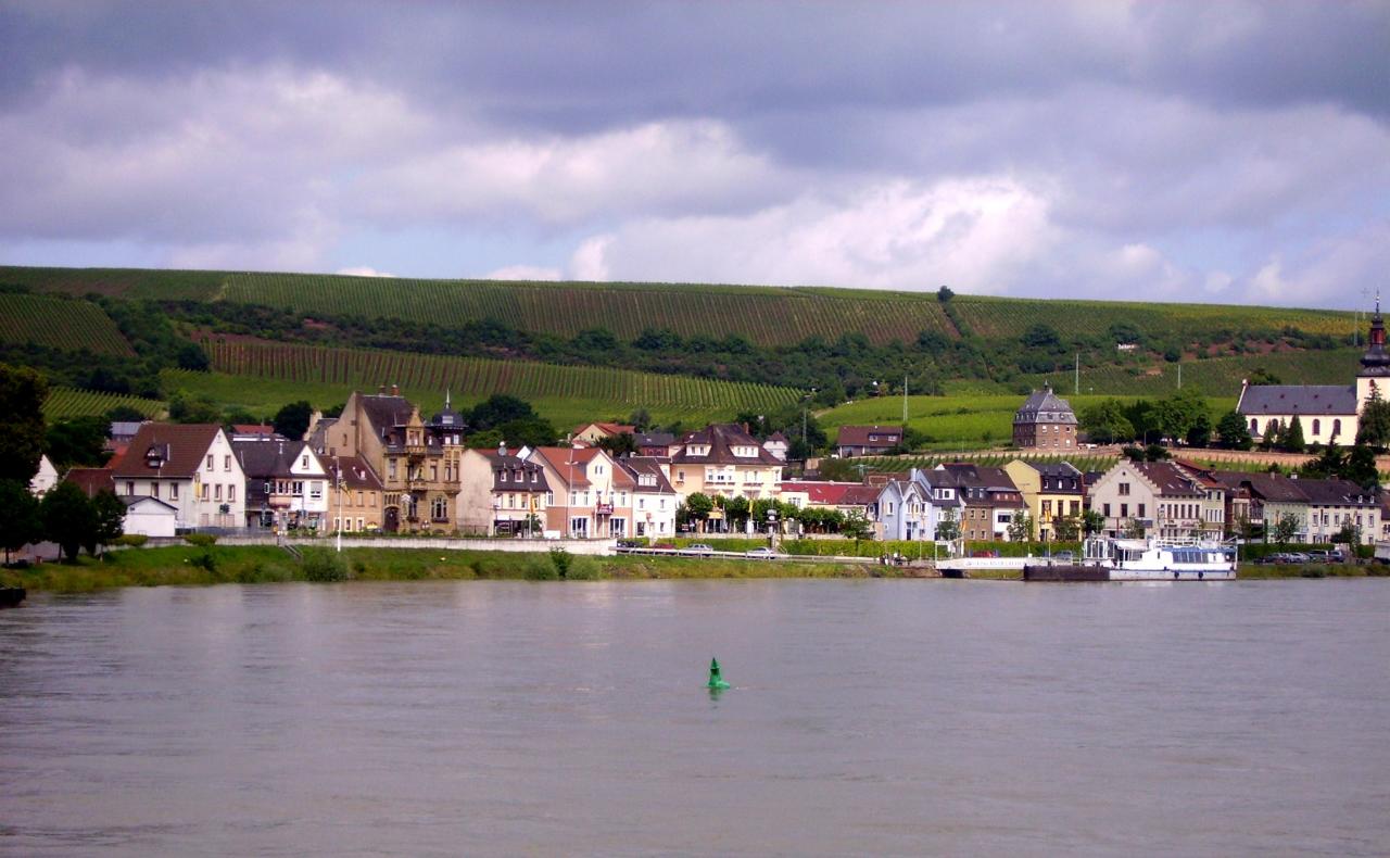 La Croisière sur le Rhin 2012 (37)