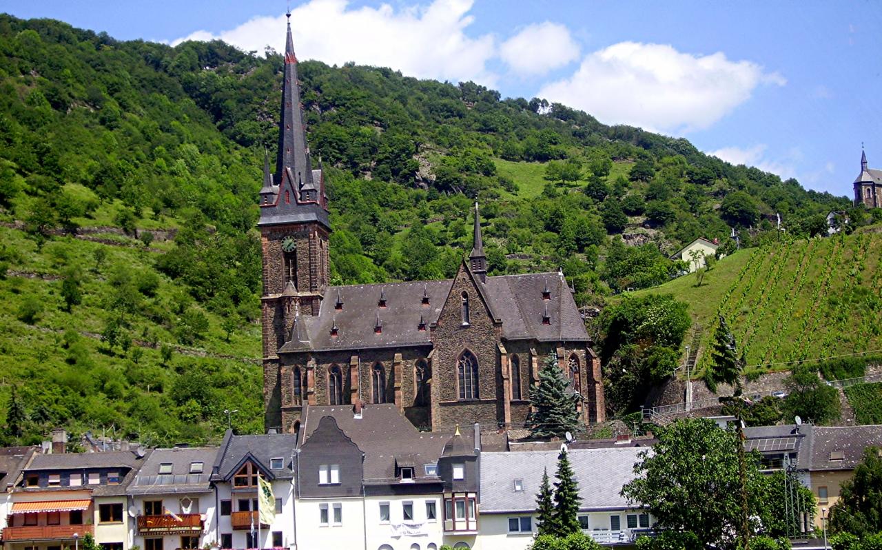 La Croisière sur le Rhin 2012 (39)