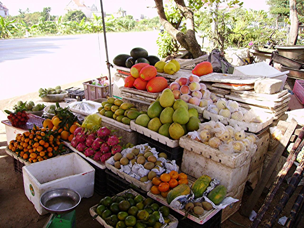 marchés gilbert (3)