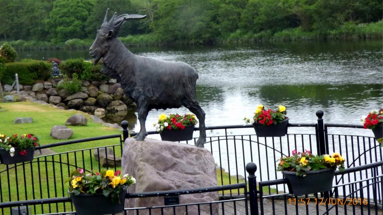 P1000210Killorglin,le bouc sauvage sur un trone