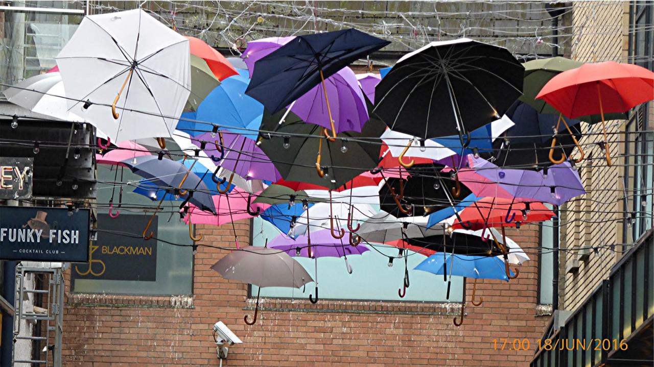 P1010498Les parapluies de Dublin